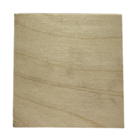 1/8" Baltic Birch Plywood Project Packs - Bulk Savings