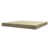 Baltic Birch Plywood (1/8" - 3/4") - B/BB Grade