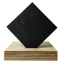 Black Baltic Birch Plywood (1/8" - 1/4")
