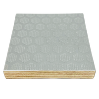 Hex-Ply Anti-Slip Melamine Birch Plywood (Light Gray) - 12mm - 18mm