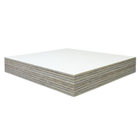 White Melamine Faced Baltic Birch Plywood - 1/2" - 3/4"